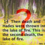 The second death (Rev. 21:8; Rev. 20:12-14)